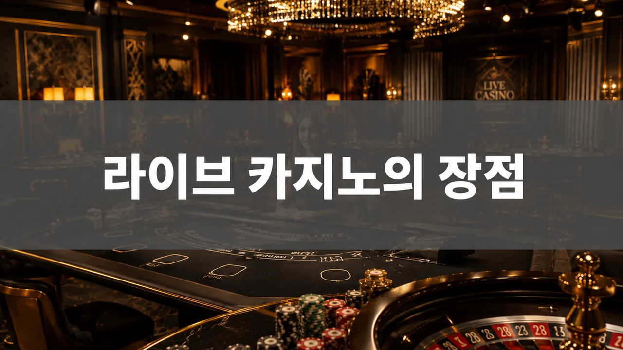 세련된 라이브 카지노 분위기를 보여주는 본문 이미지